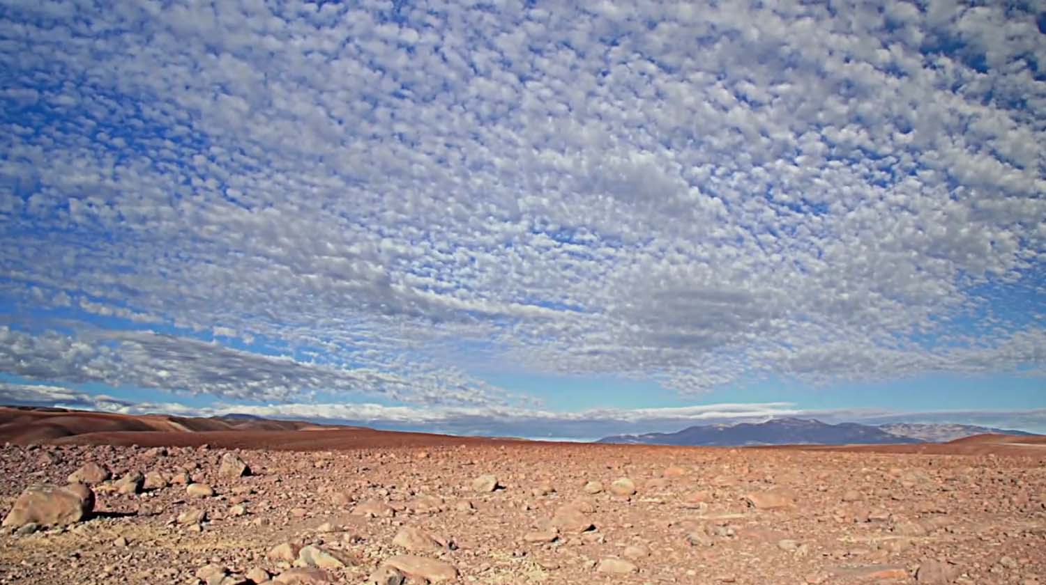 Vida humana en el desierto